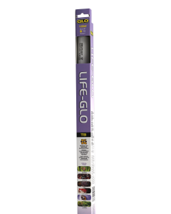 AG81