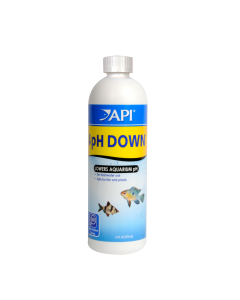 APH19a