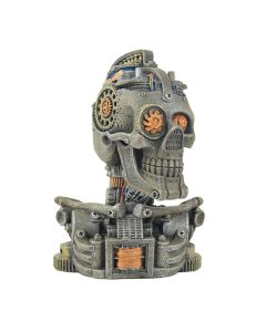 BIS465