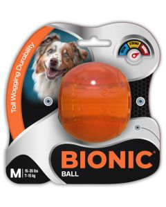 BNC02