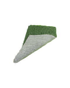 BTY23a