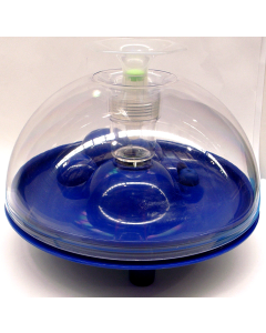 CD106h