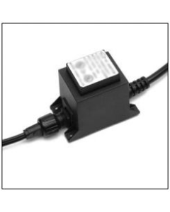 CD109c