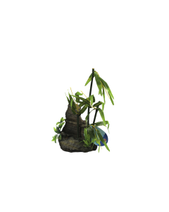 CFT38
