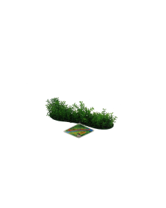 CPP01