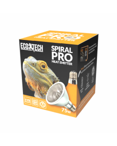 ECT41