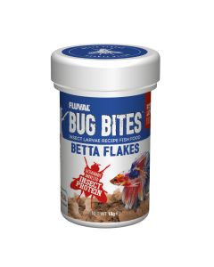 FBB16