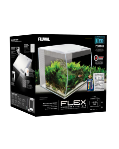 FLX03