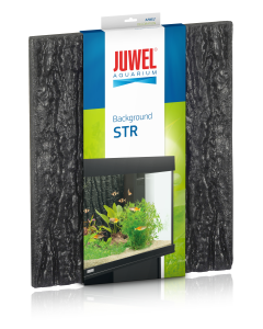 JWL86900