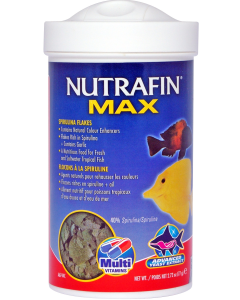 NFM07