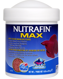 NFM13