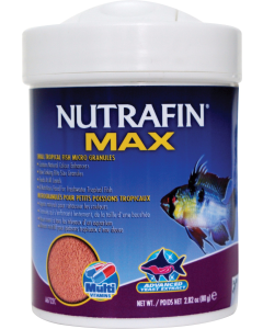NFM17