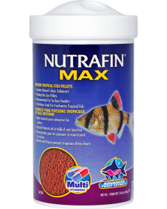 NFM20