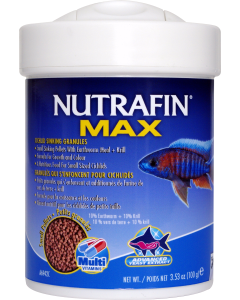 NFM31