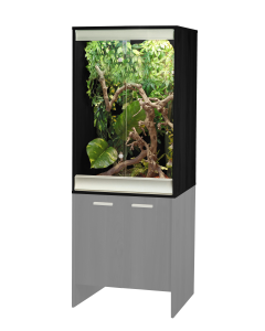 VIV04