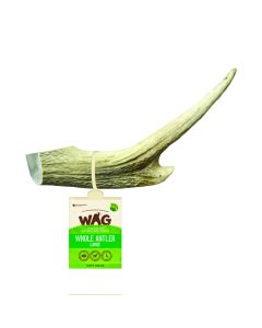 WF03