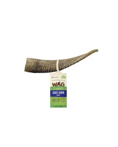 WF06