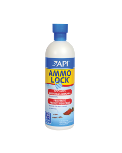 APH141