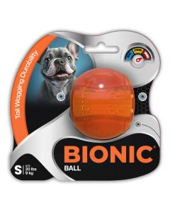BNC01