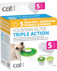 CATT05c