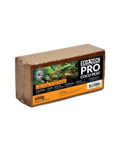 ECT01