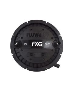 FVL55