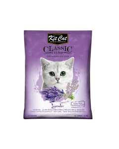 KCAT13