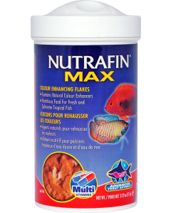 NFM10