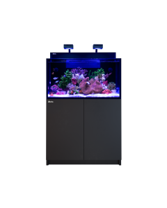 RED1004