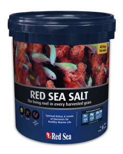 RED33