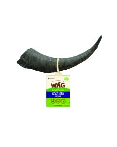 WF07