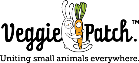 Veggie Patch